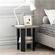 Pemberly Row Wood End Table in French Oak Gray/Black (Set of 2)