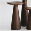 Pemberly Row Modern / Contemporary Medium End Table in Walnut