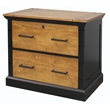 Pemberly Row Wood Lateral File With Legal/Letter File Drawer Storage in Black