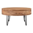 Pemberly Row Modern / Contemporary Wood Storage Coffee Table
