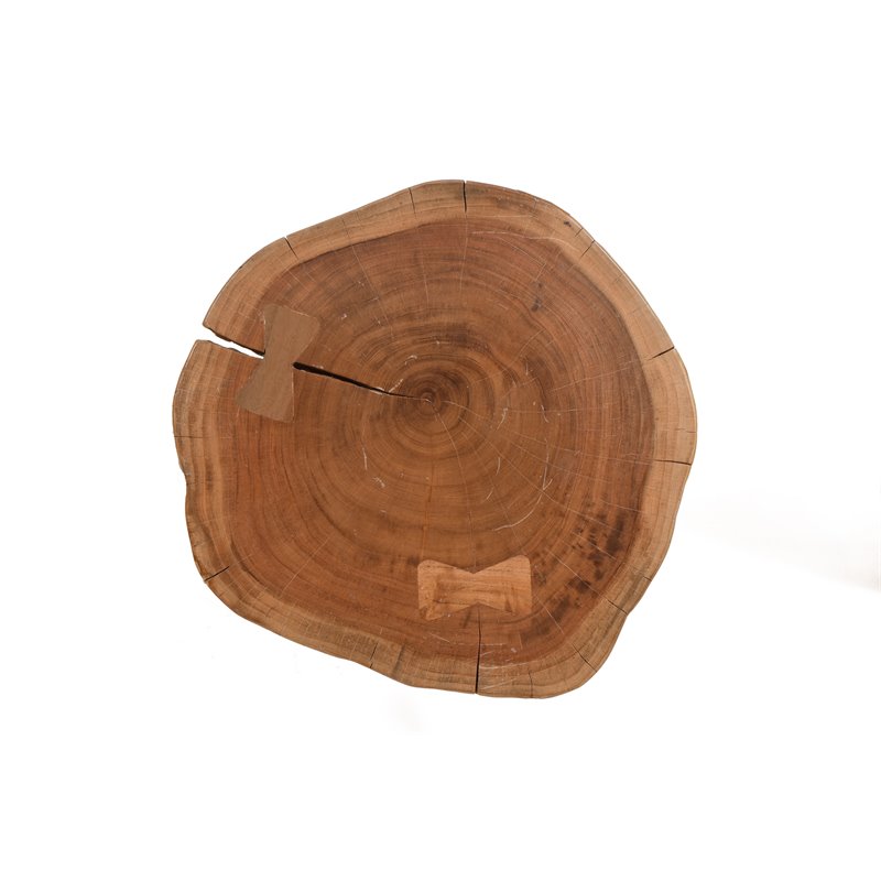 Pemberly Row Contemporary Live Edge Accent Table Top in Gold