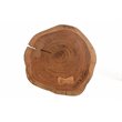 Pemberly Row Contemporary Live Edge Accent Table Top in Gold