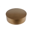 Pemberly Row Modern / Contemporary Stainless Steel Coffee Table in Brass