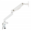 Pemberly Row Single Monitor Arm with Dual USB 3.0 Port in White Aluminum Finish