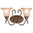 Pemberly Row Modern 2-Light Glass Bathroom Light in Gothic Bronze