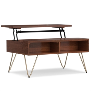Pemberly Row Solid Wood Lift Top Coffee Table in Umber Brown and Gold