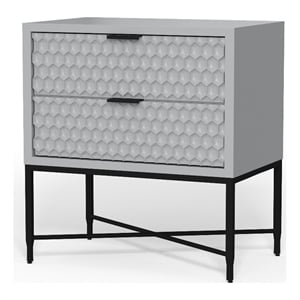 Pemberly Row Contemporary 2 Drawer Nightstand in Light Slate Gray