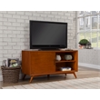 Pemberly Row Contemporary Small Wood TV Console in Acorn Brown
