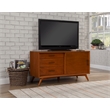 Pemberly Row Contemporary Small Wood TV Console in Acorn Brown