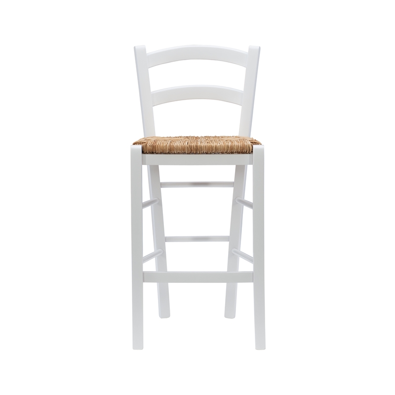 Pemberly Row Modern Set of Two Wood 24.4