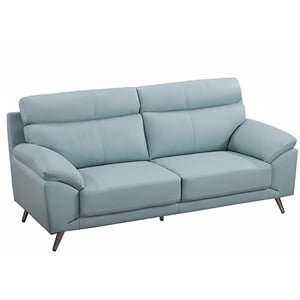 Pemberly Row Modern / Contemporary Leather Sofa in Light Blue