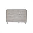 Pemberly Row Transitional Wood Printer Cabinet with 2 Drawers in Gray