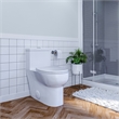 Pemberly Row 1-Piece Dual Flush Elongated Ceramic Toilet in White Seat Included