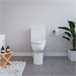 Pemberly Row 1-Piece Dual Flush Elongated Ceramic Toilet in White Seat Included