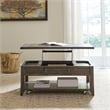Pemberly Row Modern / Contemporary Lift Top Cocktail Table in Brown
