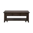Pemberly Row Modern / Contemporary Lift Top Cocktail Table in Brown