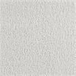 Pemberly Row Boucle Fabric Upholstered Queen Wingback Bed White