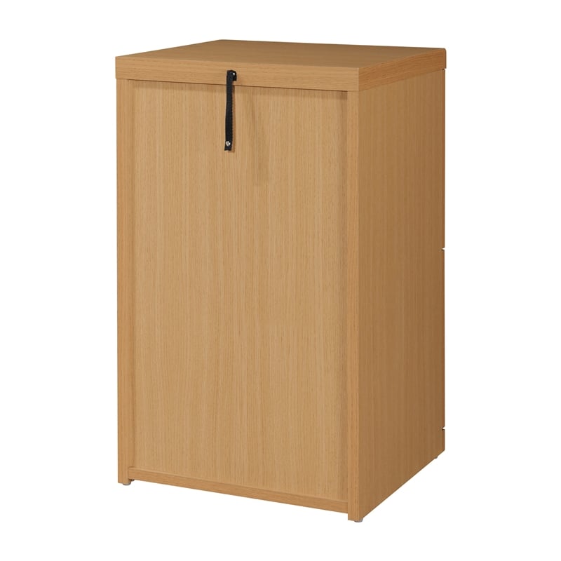 Pemberly Row 2-Drawer Wood Vertical File with Lockdowel - Natural Finish