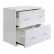 Pemberly Row 2-Drawer Engineered Wood Lateral File with Lockdowel - White Finish