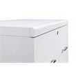 Pemberly Row 2-Drawer Engineered Wood Lateral File with Lockdowel - White Finish