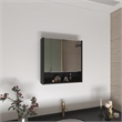 Pemberly Row Modern Medicine Cabinet Black Color Engineered Wood