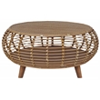Pemberly Row Transitional Rattan Coffee Table in Natural/Gray