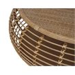 Pemberly Row Transitional Rattan Coffee Table in Natural/Gray