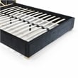 Pemberly Row Queen Velvet Bed with Gold Metal Frame in Black Color
