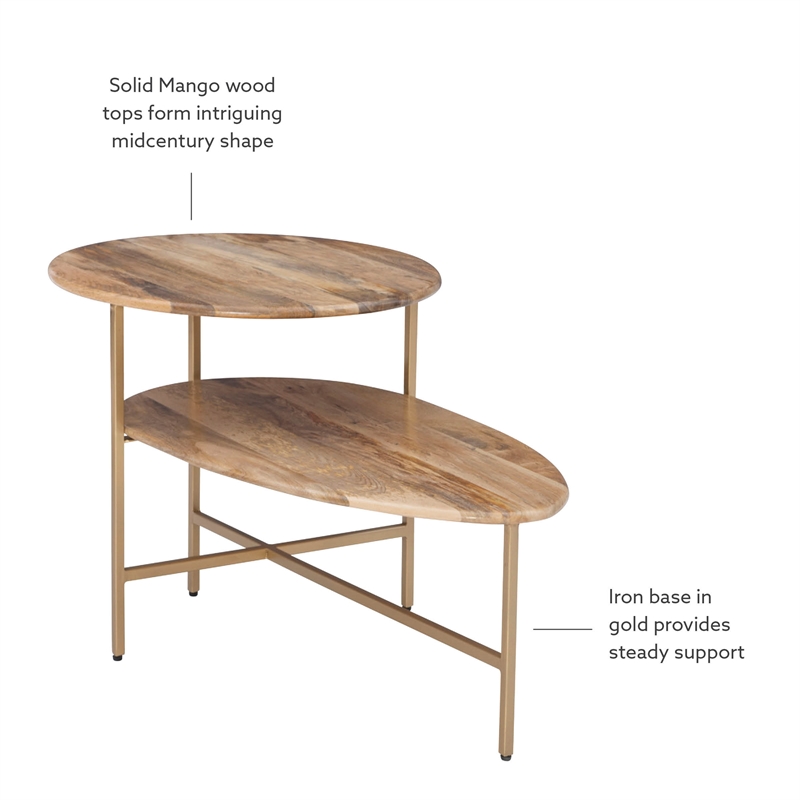Pemberly Row Two Tiered Wood and Metal Coffee Table in Natural and Gold