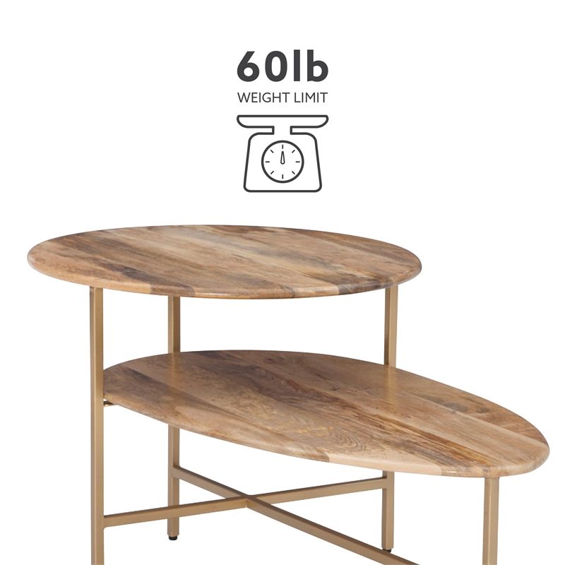 Pemberly Row Two Tiered Wood and Metal Coffee Table in Natural and Gold