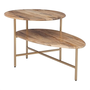 Pemberly Row Two Tiered Wood and Metal Coffee Table in Natural and Gold