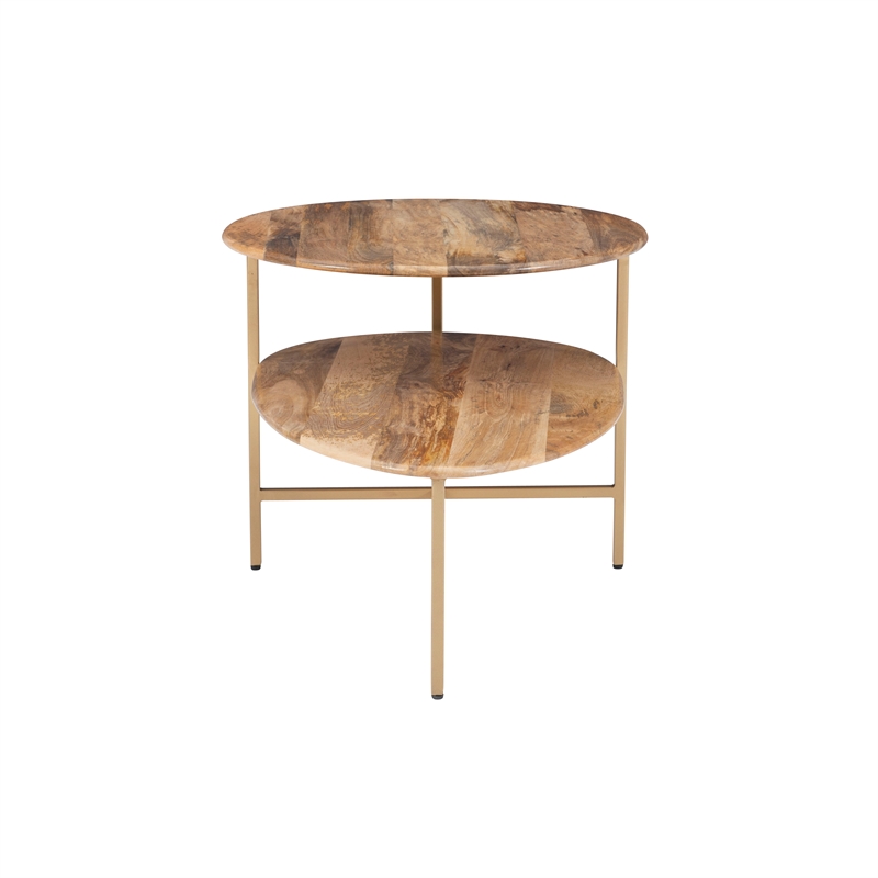 Pemberly Row Two Tiered Wood and Metal Coffee Table in Natural and Gold