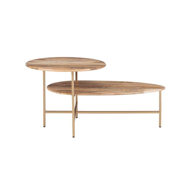 Pemberly Row Two Tiered Wood and Metal Coffee Table in Natural and Gold