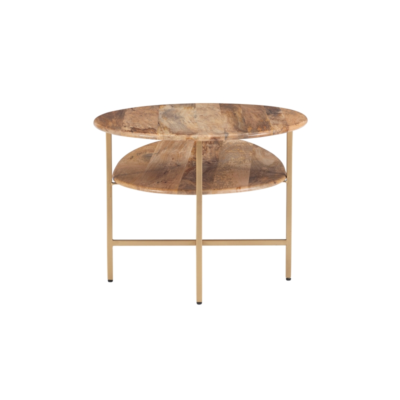 Pemberly Row Two Tiered Wood and Metal Coffee Table in Natural and Gold