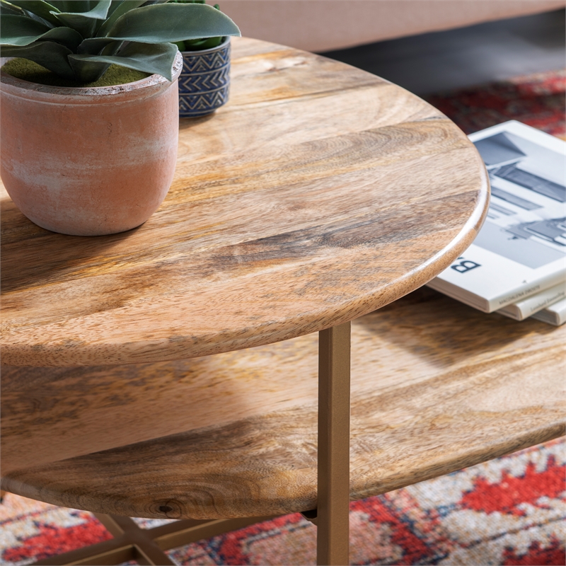 Pemberly Row Two Tiered Wood and Metal Coffee Table in Natural and Gold