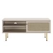 Pemberly Row Rattan and Particleboard TV Stand for TVs up to 47