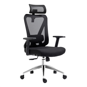 Pemberly Row Mesh Fabric Office Chair with Headrest & Lumbar Support in Black