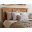 Pemberly Row Madison Queen Solid Wood Foundation Bed in Light Toffee