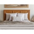 Pemberly Row Madison Queen Solid Wood Foundation Bed in Light Toffee