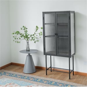 Pemberly Row Tall 2-Door 3-Shelf Steel Accent Cabinet with Fluted Glass-Black