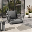 Pemberly Row Powder-Coated Aluminum Frame Swing Chair in Charcoal