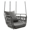 Pemberly Row Powder-Coated Aluminum Frame Swing Chair in Charcoal
