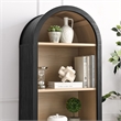 Pemberly Row Modern / Contemporary Bookcase Display Cabinet in Black