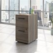 Pemberly Row Engineered Wood 2-Drawer Mobile Filing Cabinet in Elm/Brown