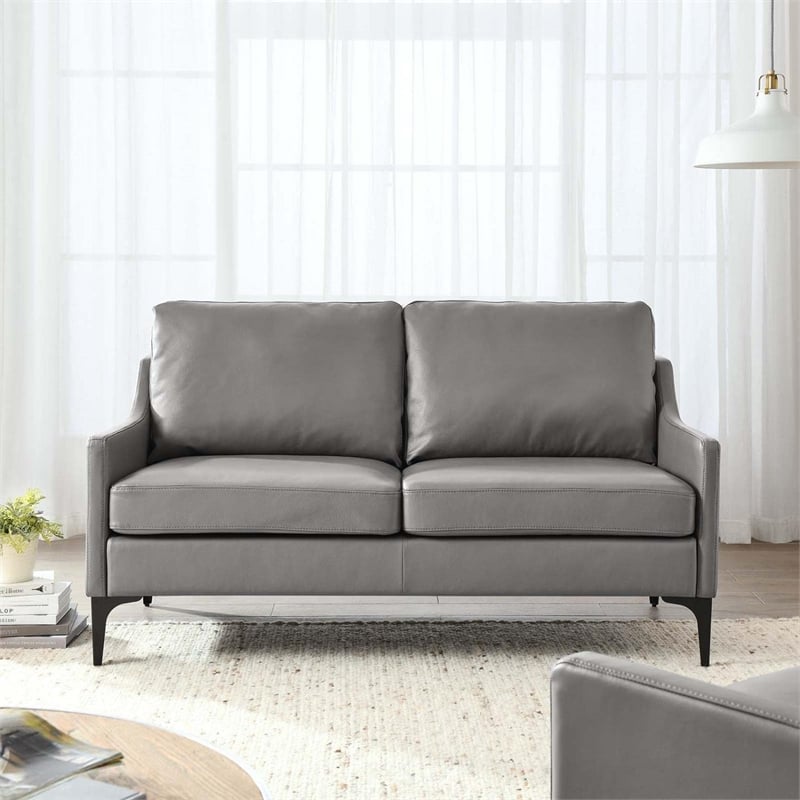 Pemberly Row Contemporary Leather and Metal Loveseat in Gray