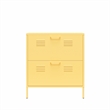 Pemberly Row Modern 2-Door Metal Shoe Storage Cabinet in Yellow