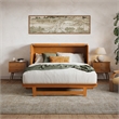 Pemberly Row Queen Murphy Bed Chest w/ Mattress & Built-in Charger in Toffee