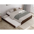 Pemberly Row Queen Solid Wood Panel Platform Bed with Twin XL Trundle in Walnut