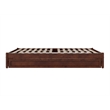 Pemberly Row Queen Solid Wood Panel Platform Bed with Twin XL Trundle in Walnut