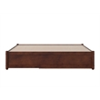 Pemberly Row Queen Solid Wood Panel Platform Bed with Twin XL Trundle in Walnut